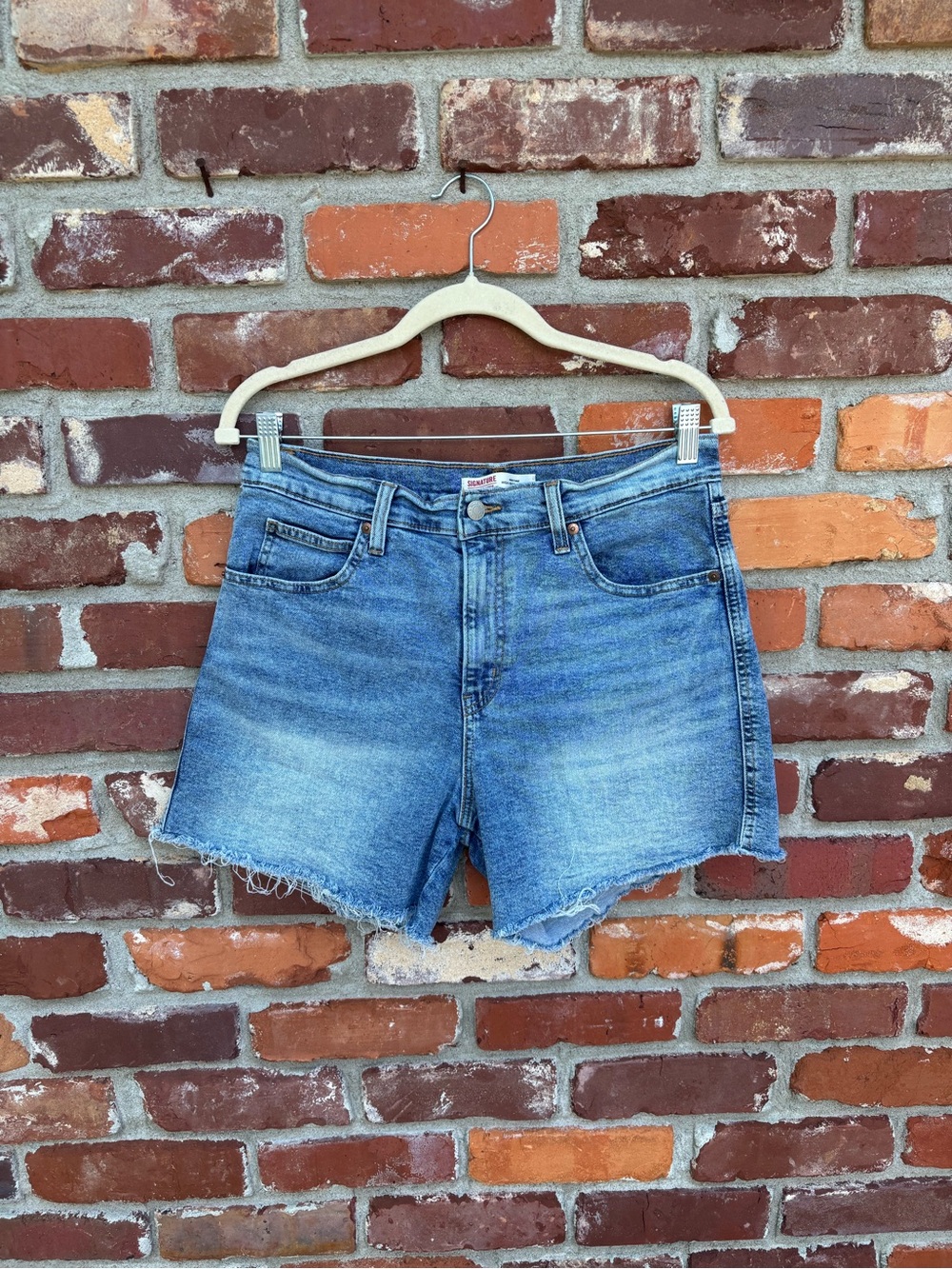 EUC Levi Shorts